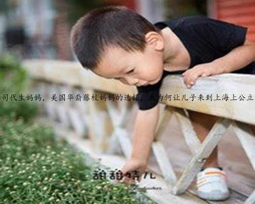 上海公司代生妈妈，美国华裔藤校妈妈的选择：我为何让儿子来到上海上公立幼