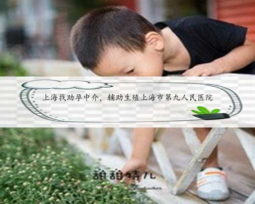 上海找助孕中介，辅助生殖上海市第九人民医院