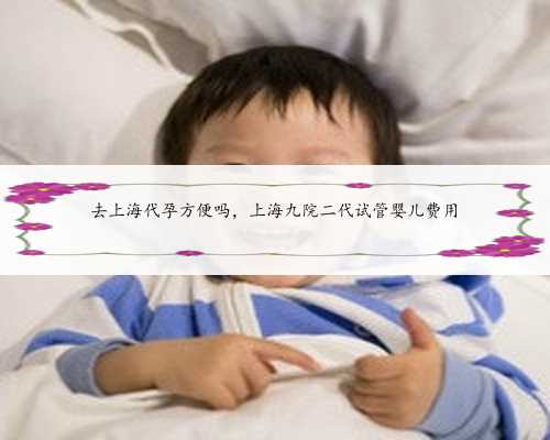 去上海代孕方便吗，上海九院二代试管婴儿费用