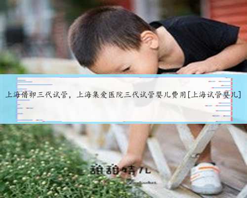 上海借卵三代试管，上海集爱医院三代试管婴儿费用[上海试管婴儿]