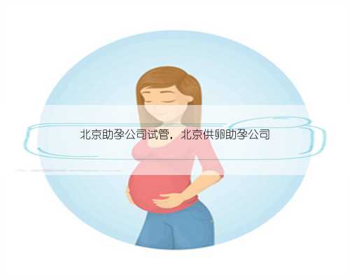 北京助孕公司试管，北京供卵助孕公司